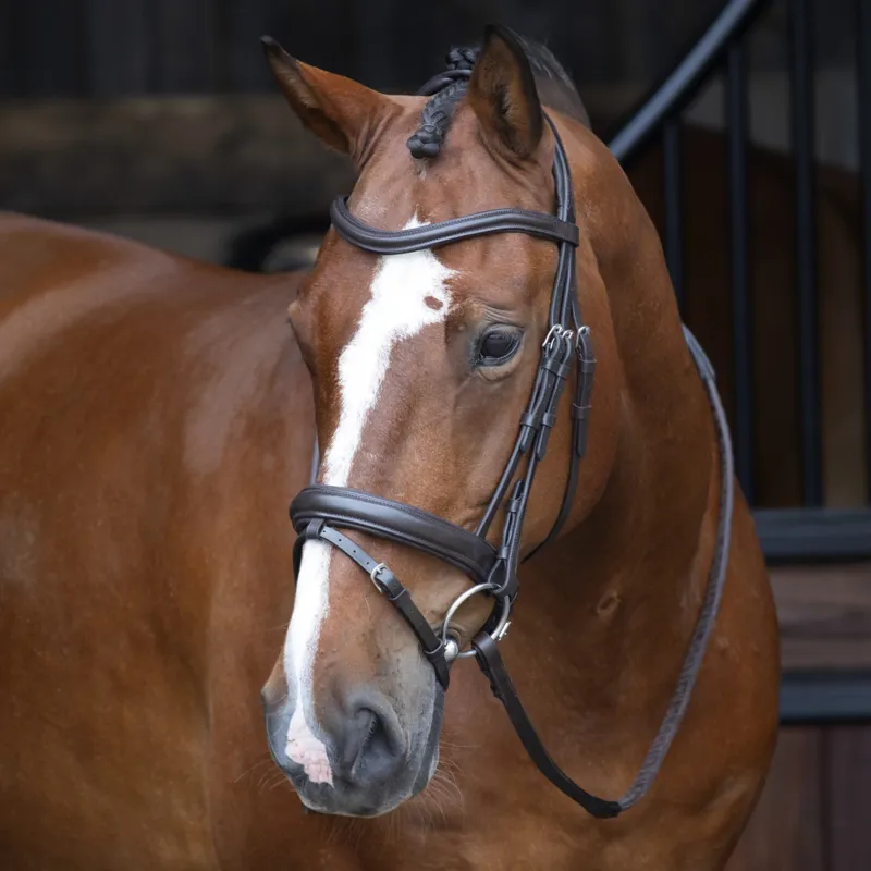 Velociti RAPIDA Dressage Bridle with Flash in Brown